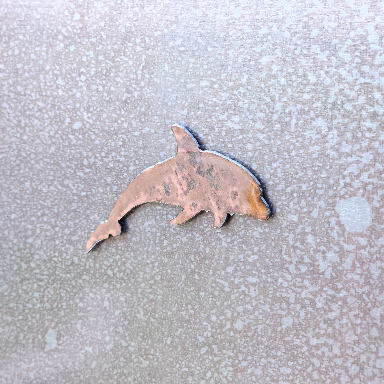 Dolphin Magnet