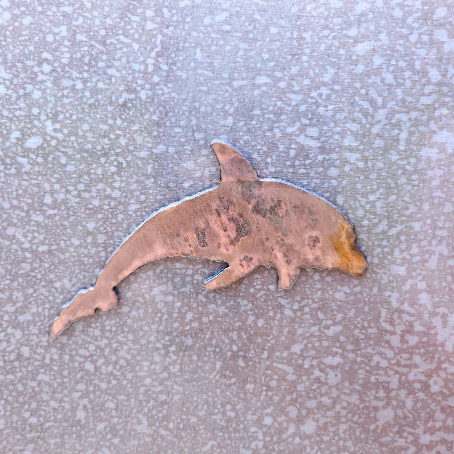 Dolphin Magnet
