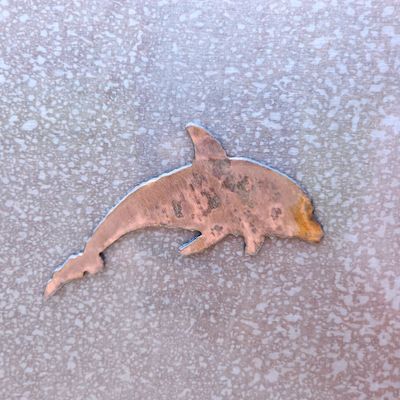 Dolphin Magnet
