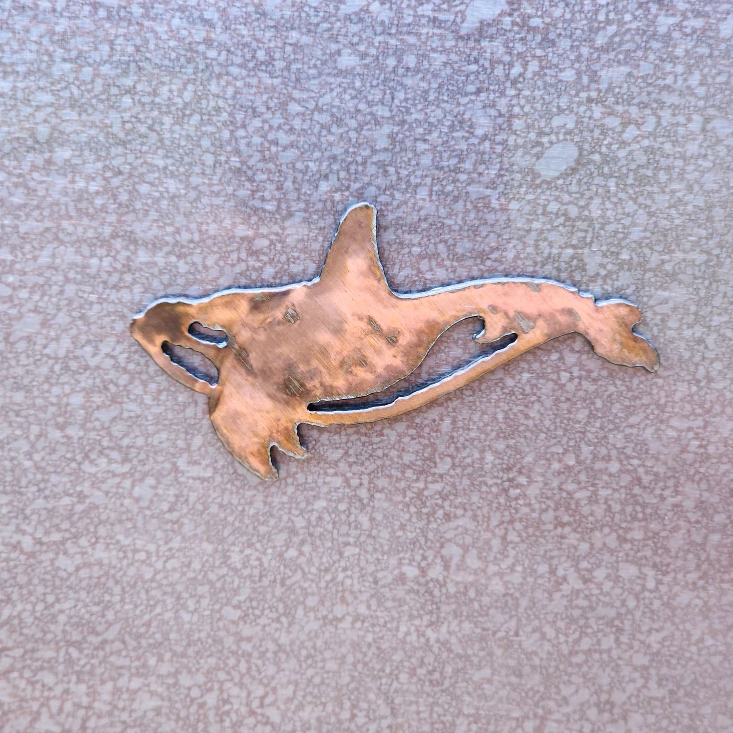 Orca Magnet