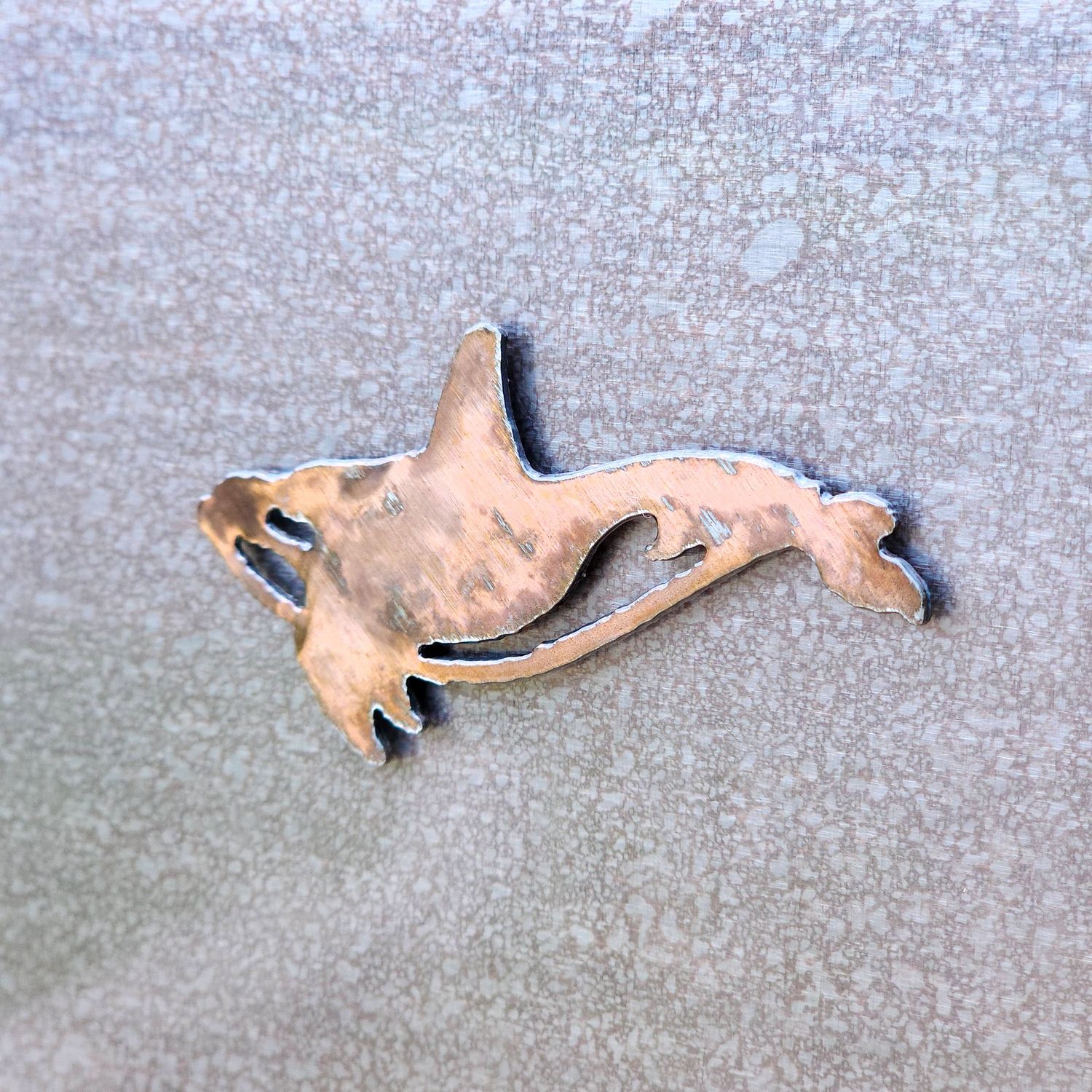 Orca Magnet