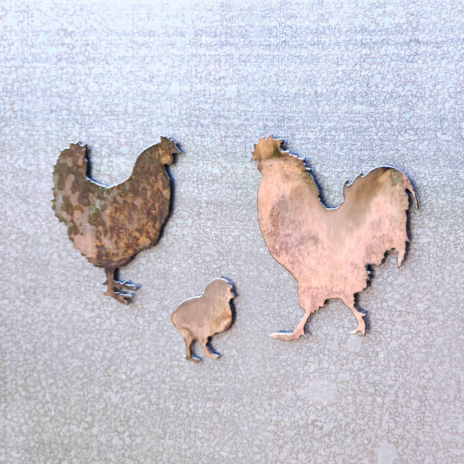 Chicken Family Magnet Set