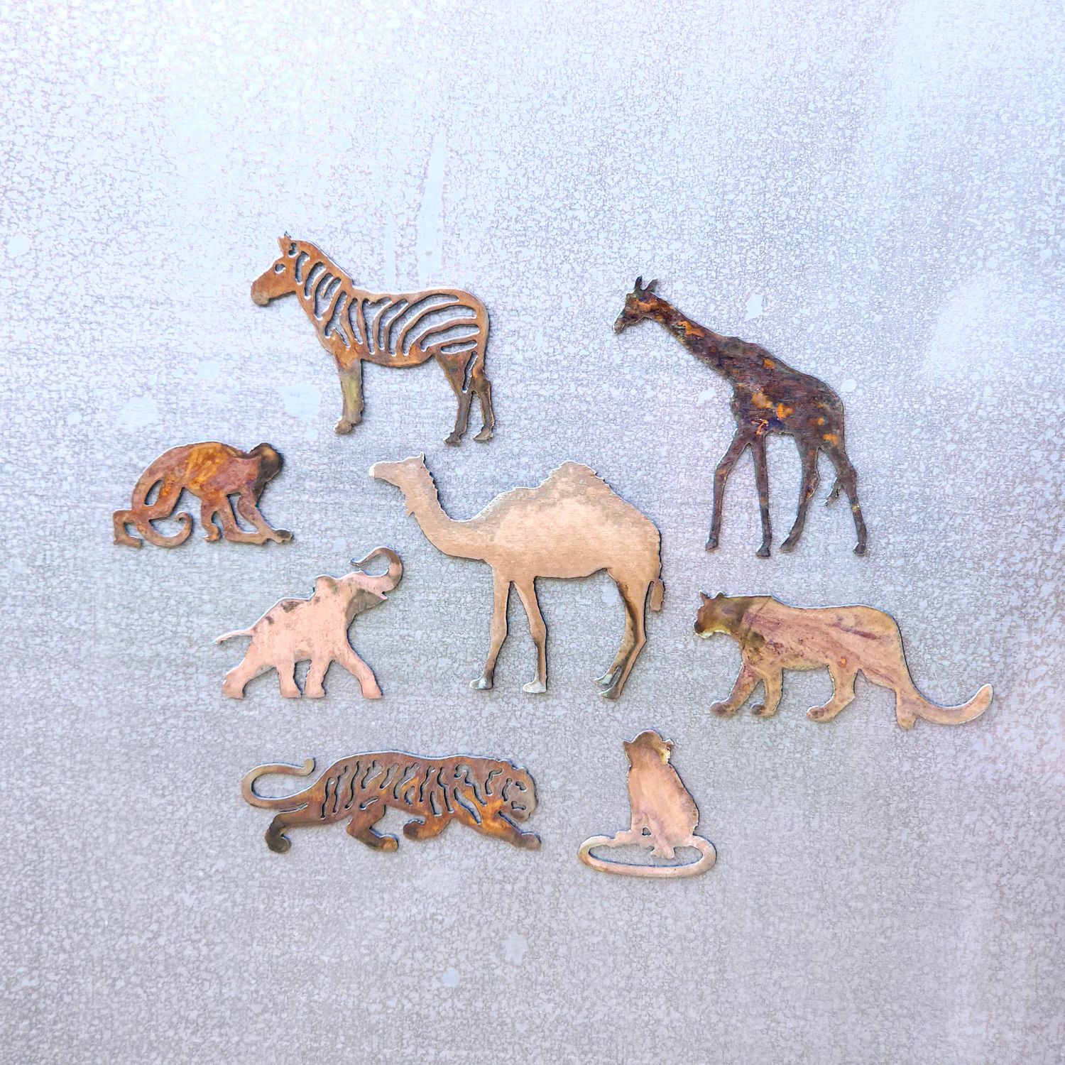 Zebra Magnet