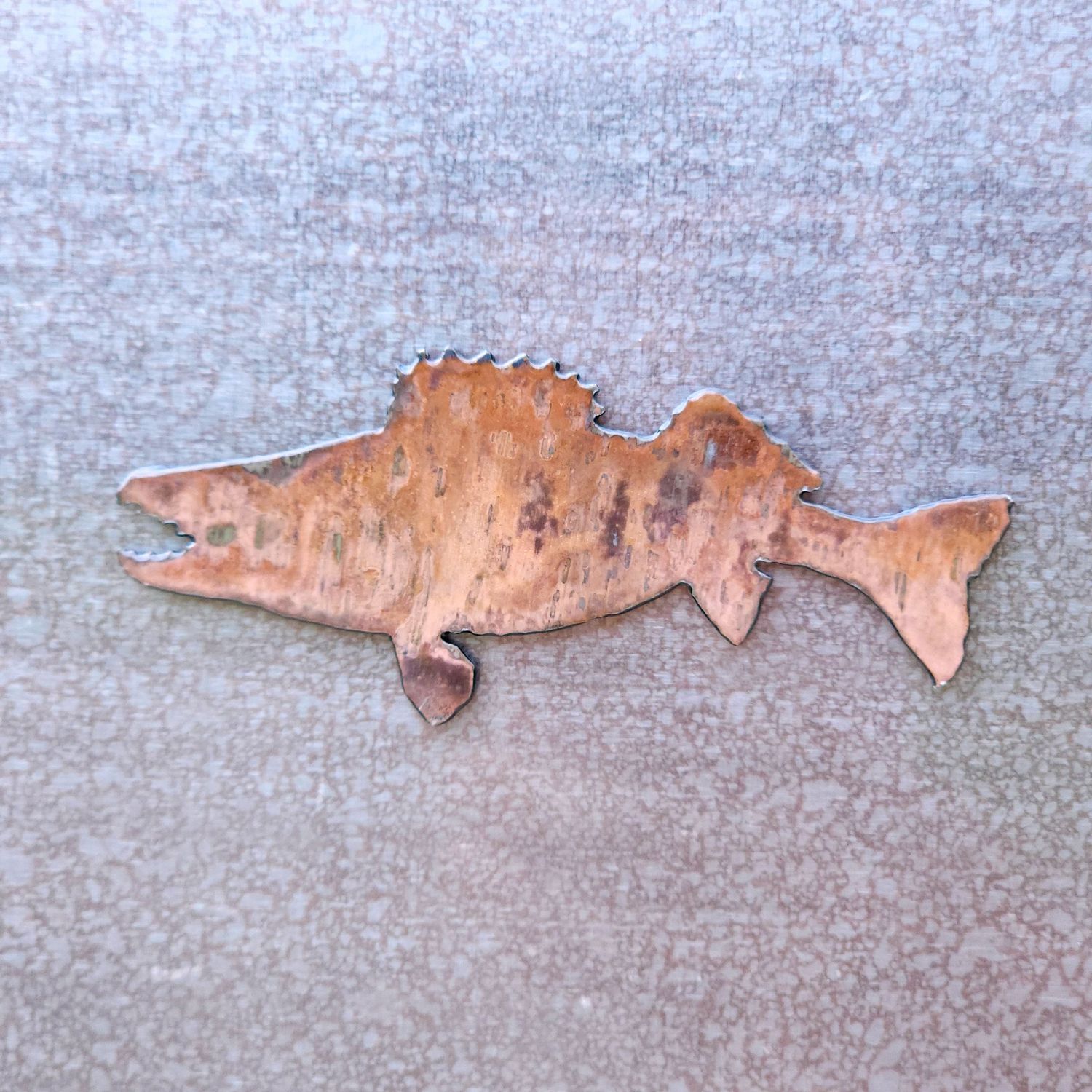 Fierce Walleye Magnet / Sticker