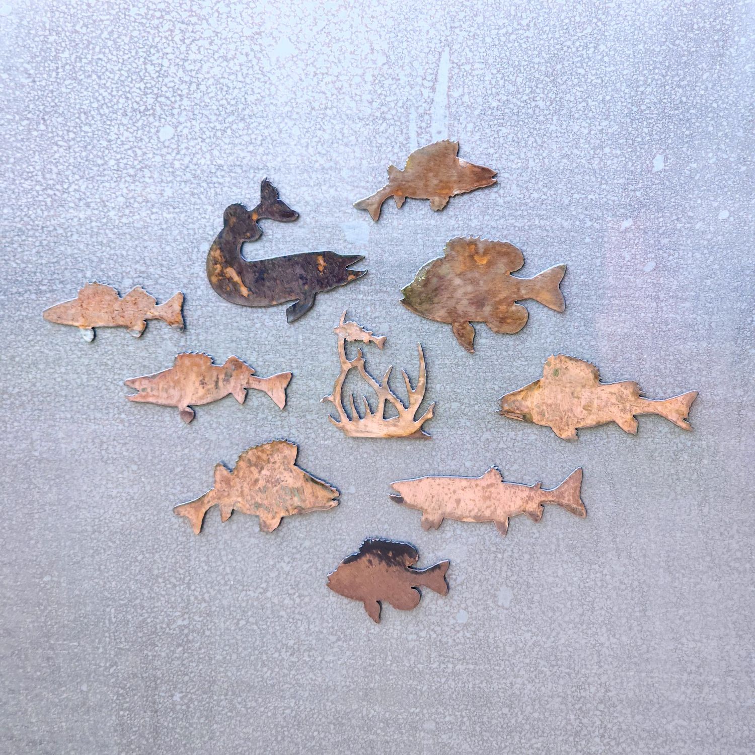 Small Fish Magnet Set