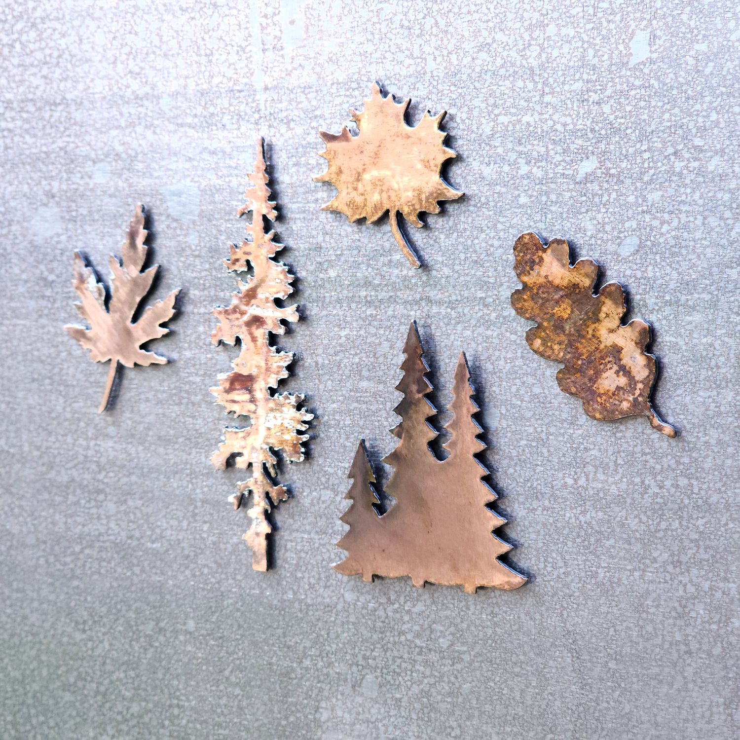 Tree Lover Magnet Set