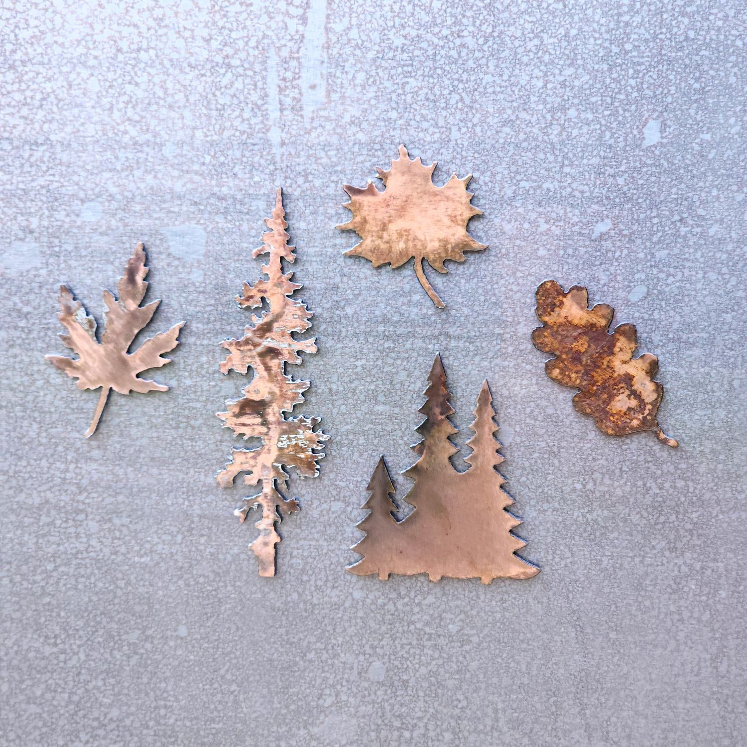 Tree Lover Magnet Set