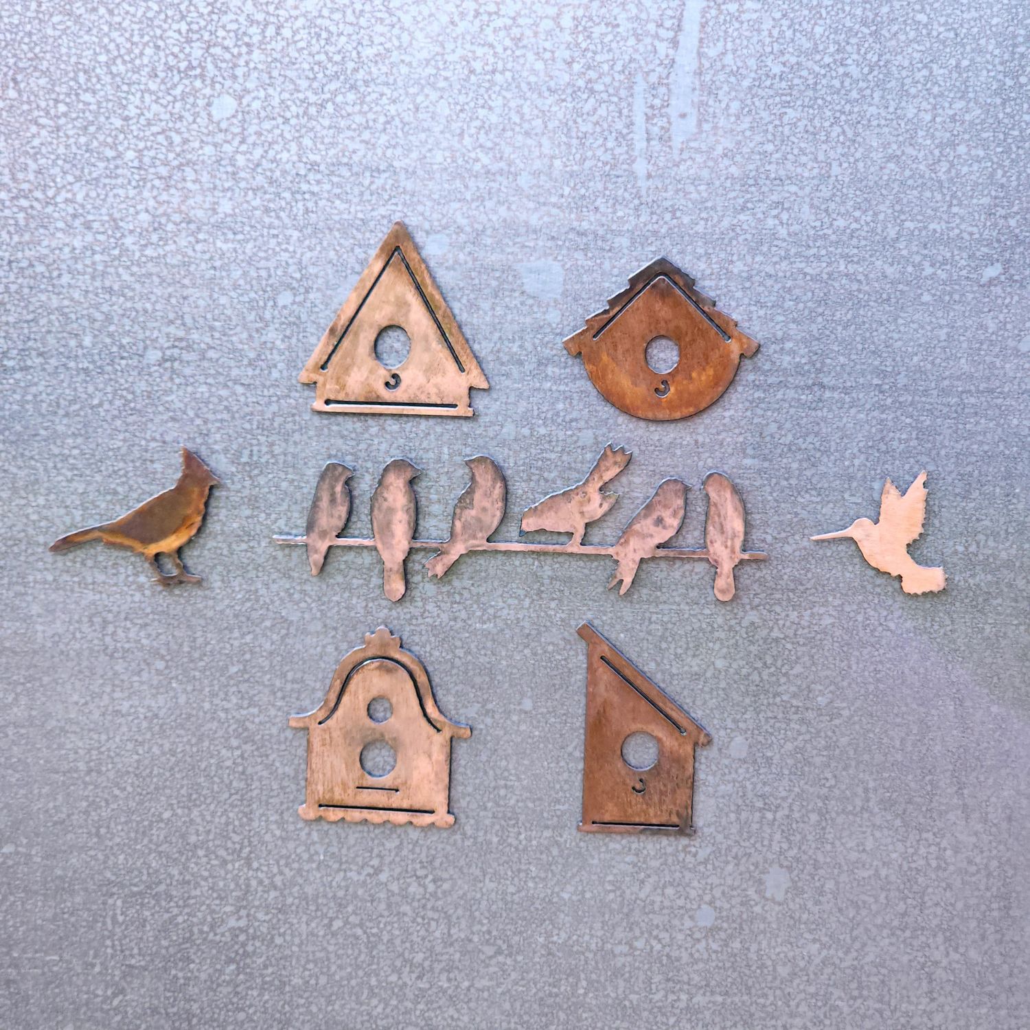Bird Lover Magnet Set