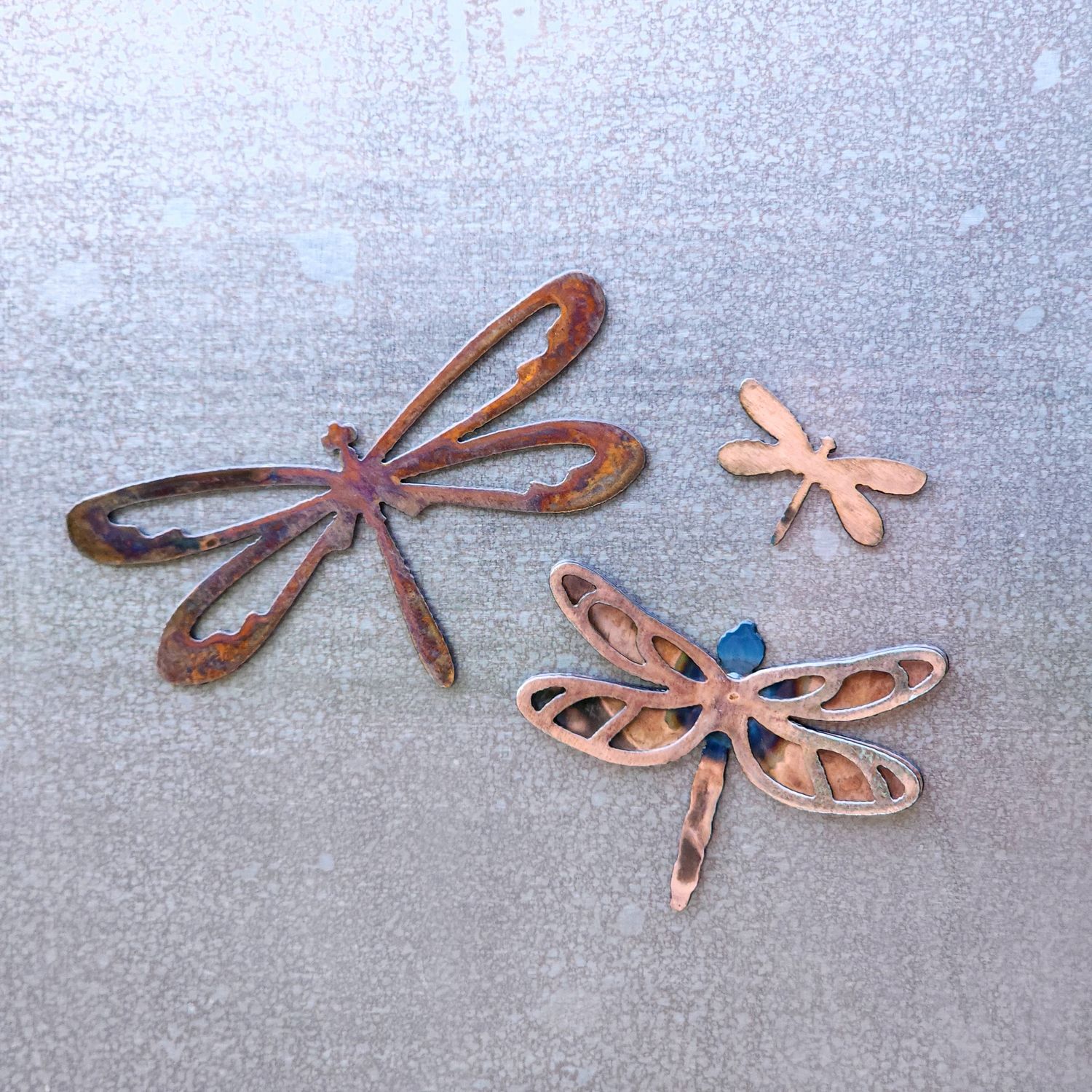 Dragonfly Magnet Set