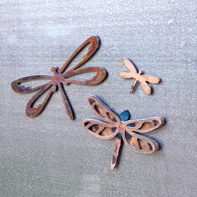 Dragonfly Magnet Set