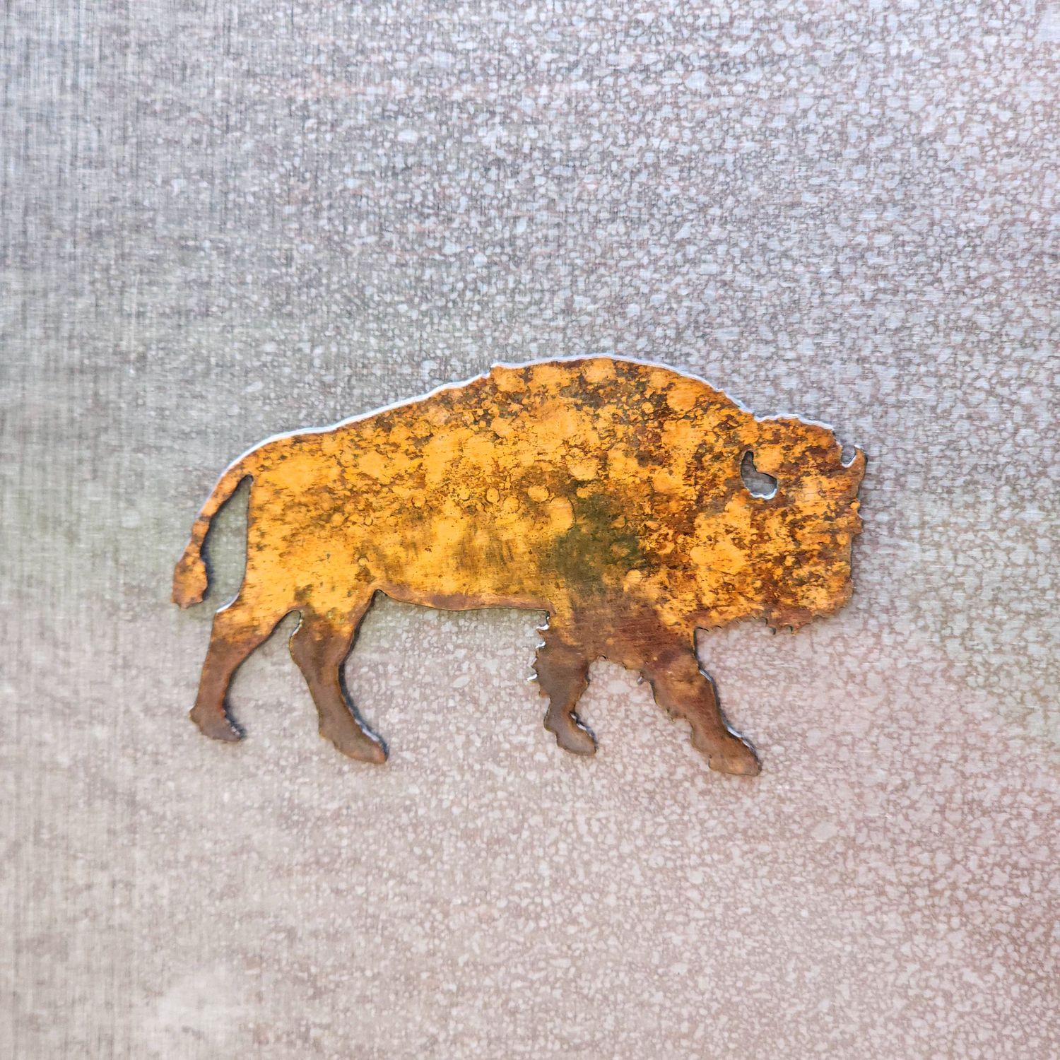 Bison Magnet