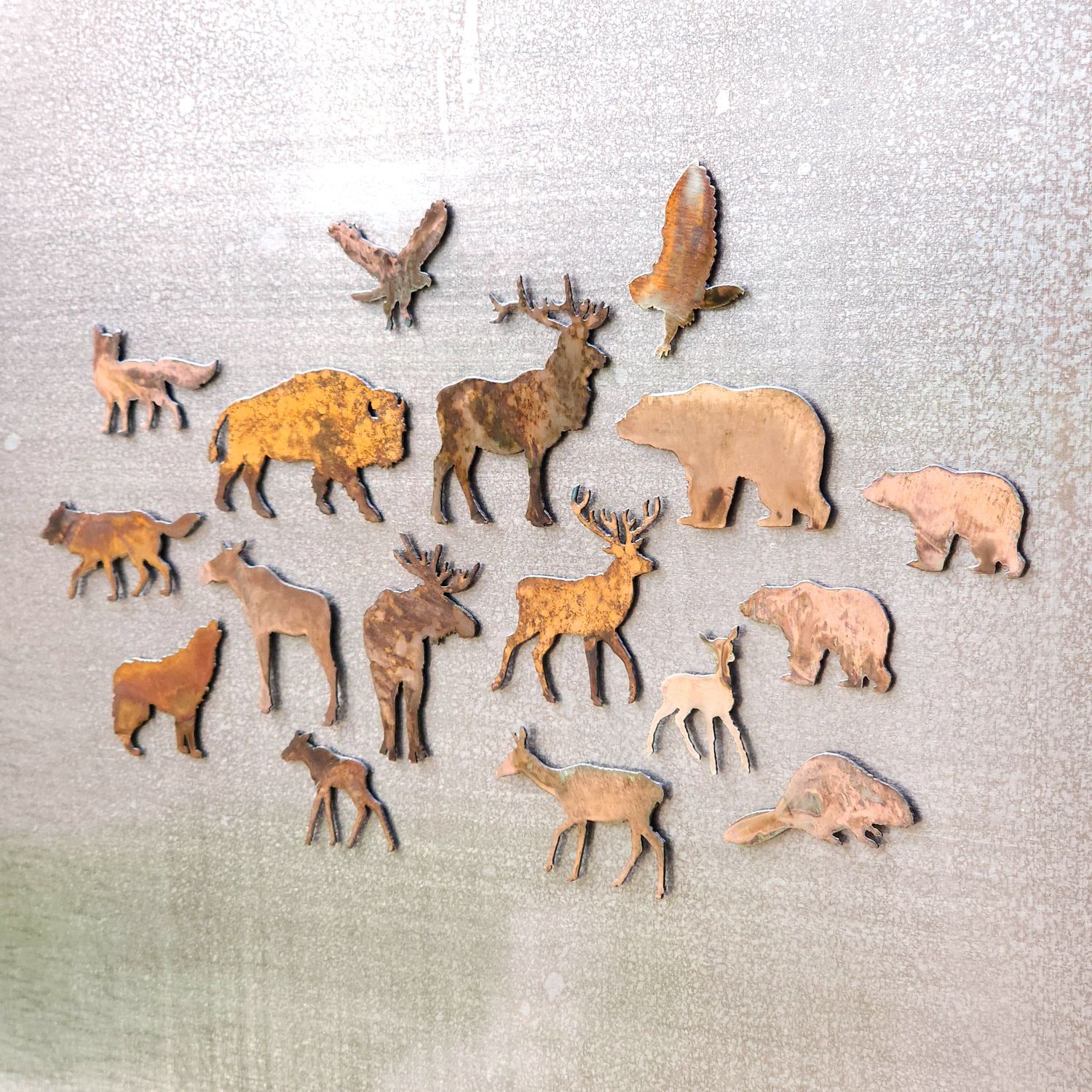 Bison Magnet