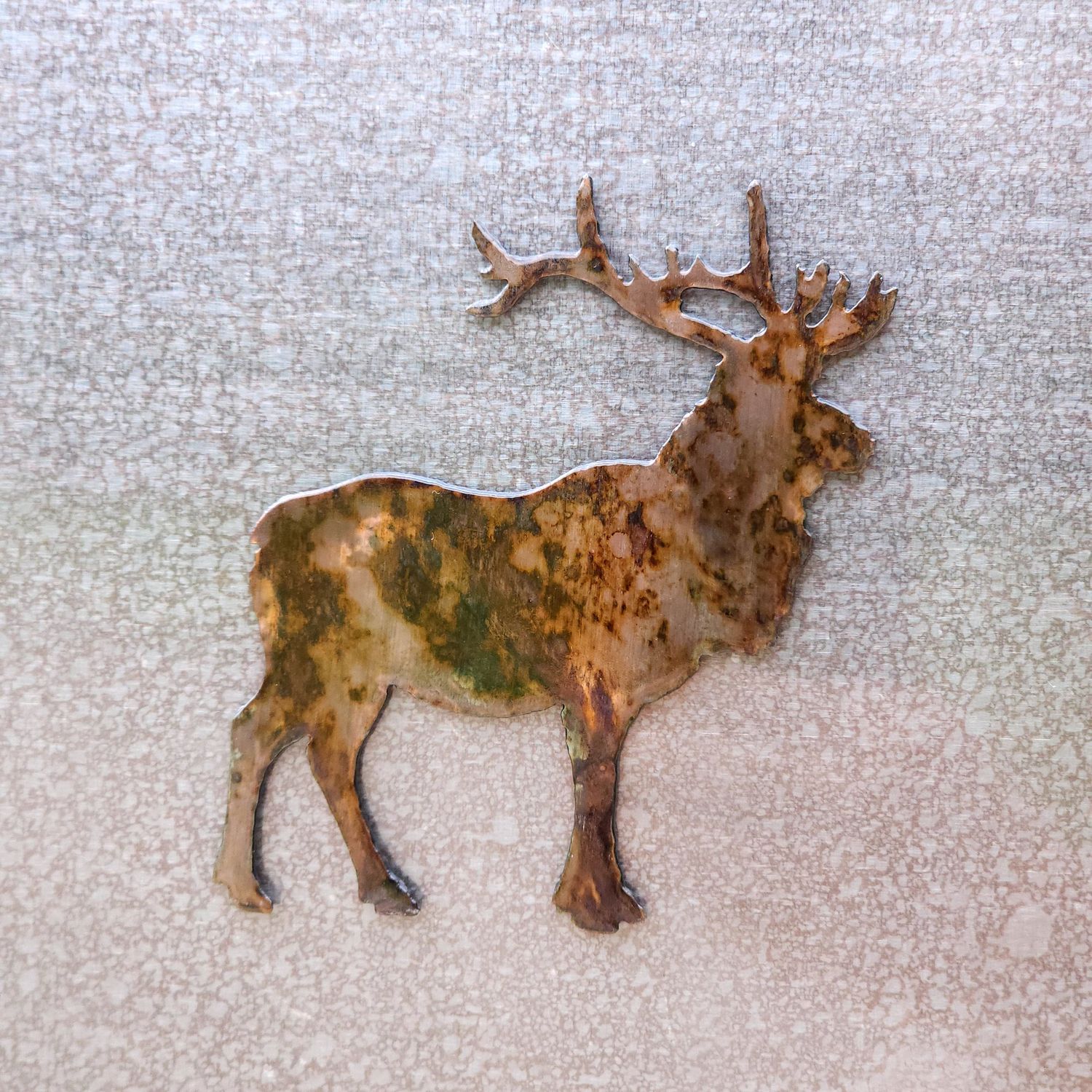Elk Magnet