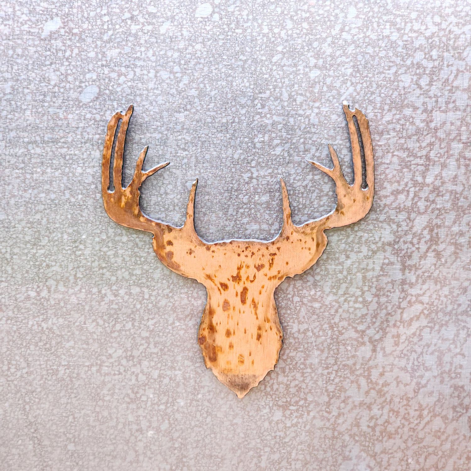 Buck Head Magnet