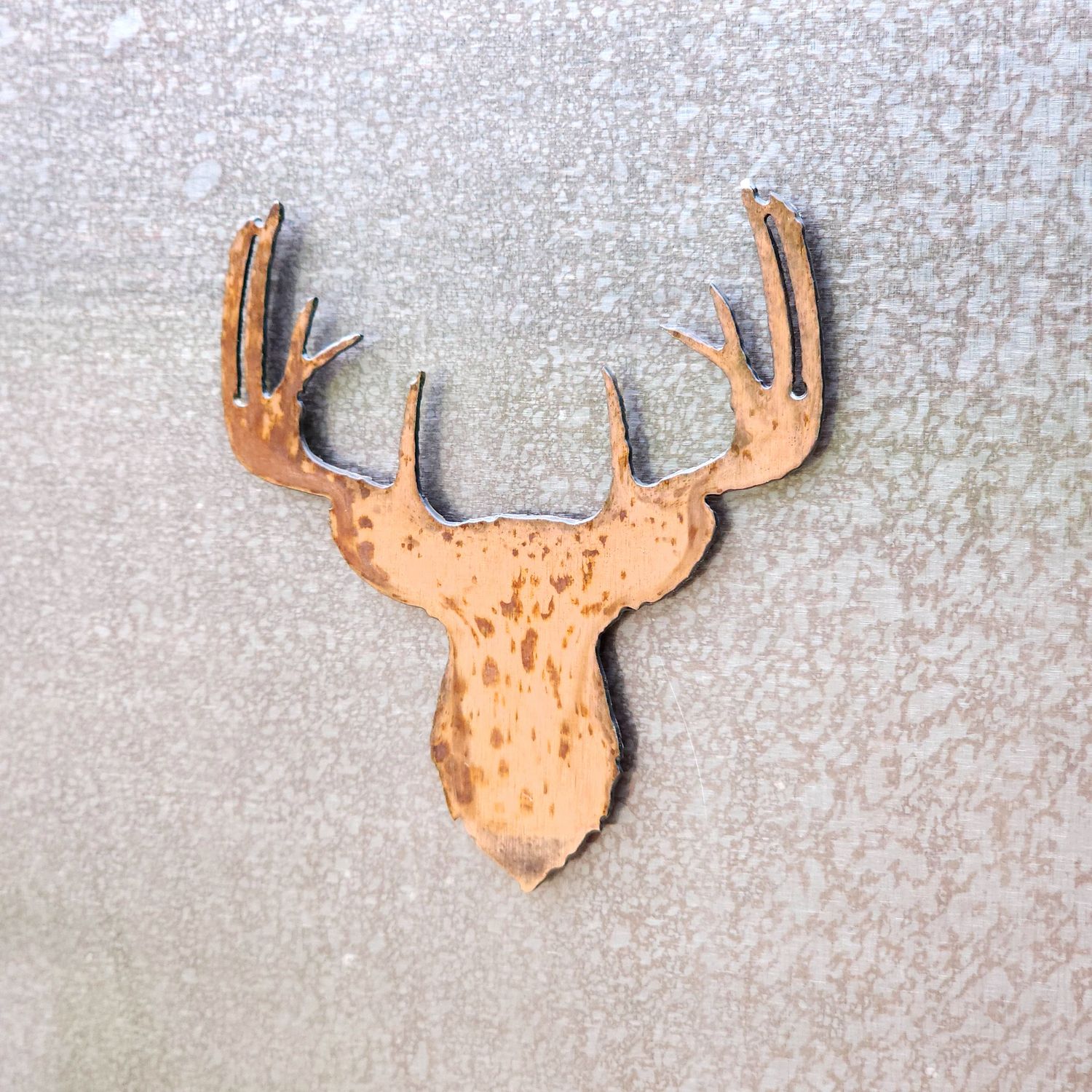 Buck Head Magnet