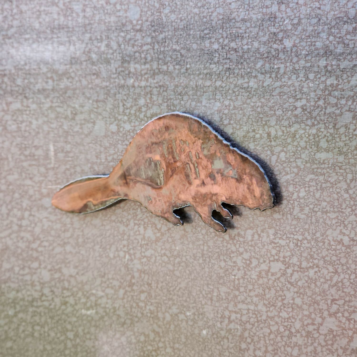 Beaver Magnet
