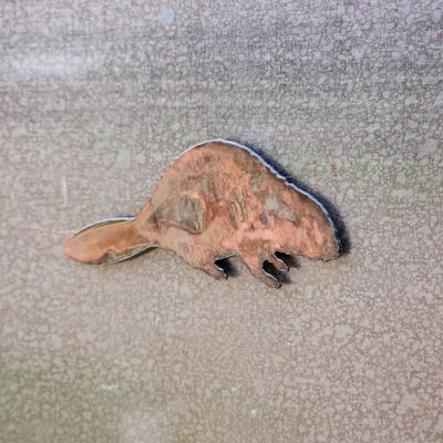 Beaver Magnet