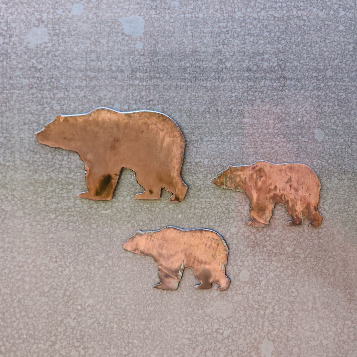 Bear Magnet Set