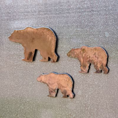 Bear Magnet Set