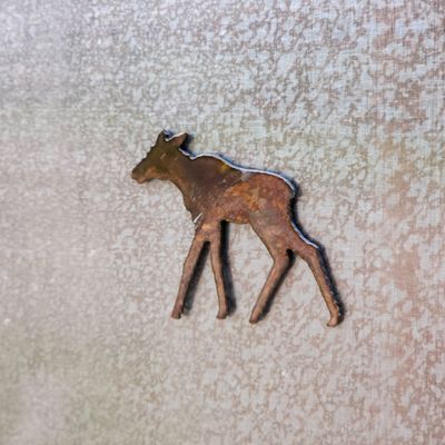 Moose Calf Magnet