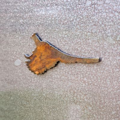 Pheasant Magnet