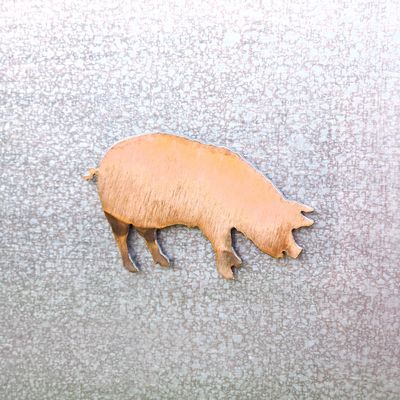 Pig Magnet