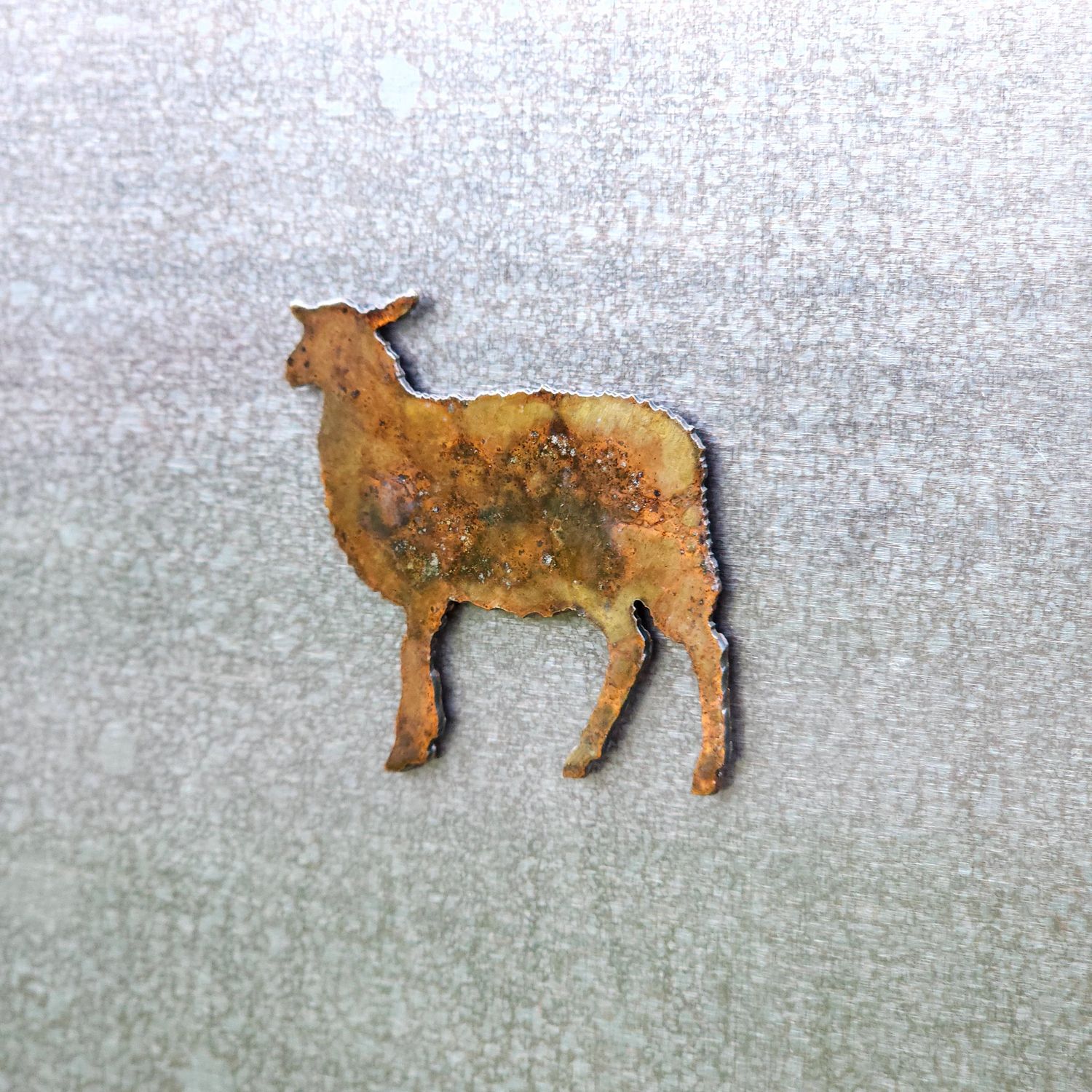 Sheep Magnet