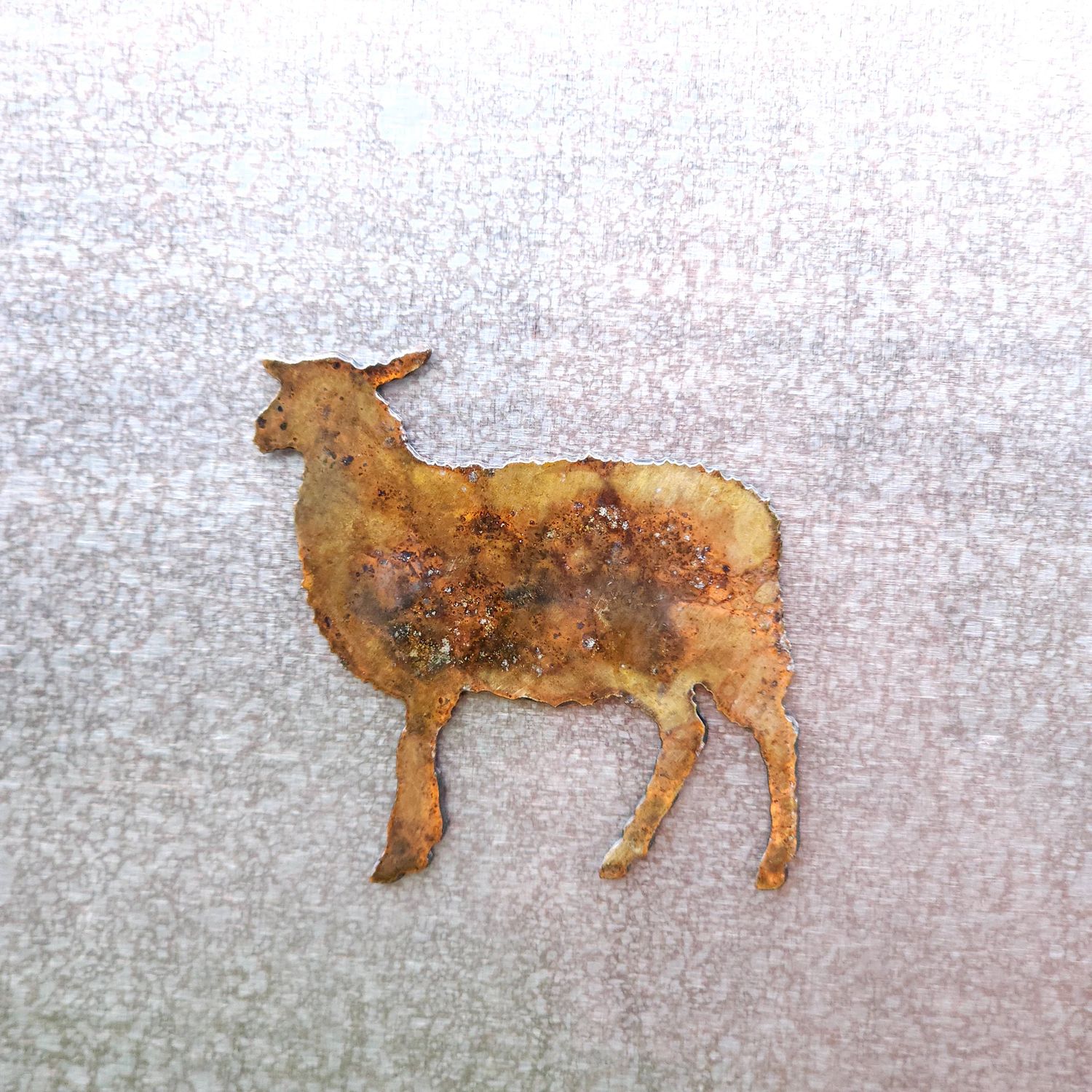 Sheep Magnet