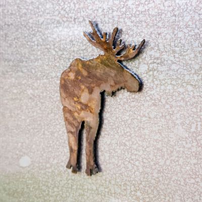 Bull Moose Magnet