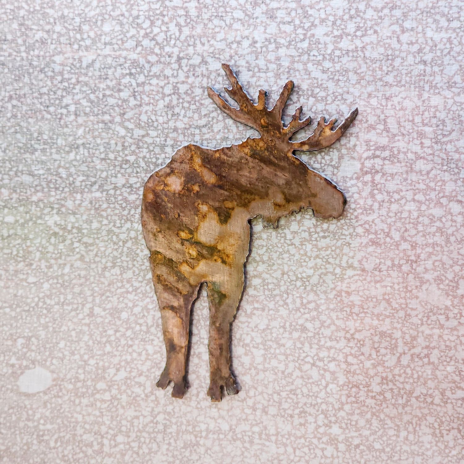 Bull Moose Magnet