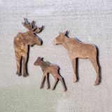 Moose Family Magnet Set