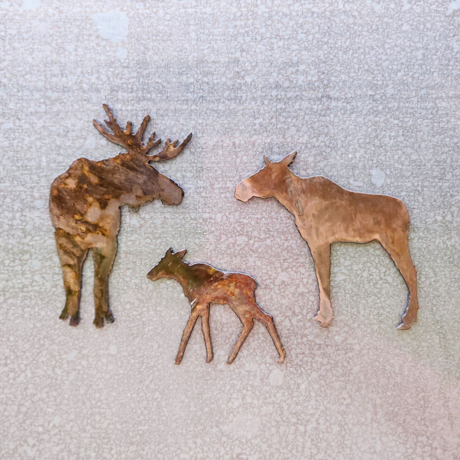 Moose Family Magnet Set