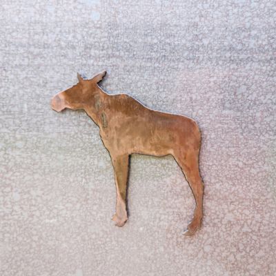 Cow Moose Magnet
