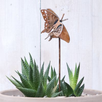 Small Swallowtail Butterfly Stake