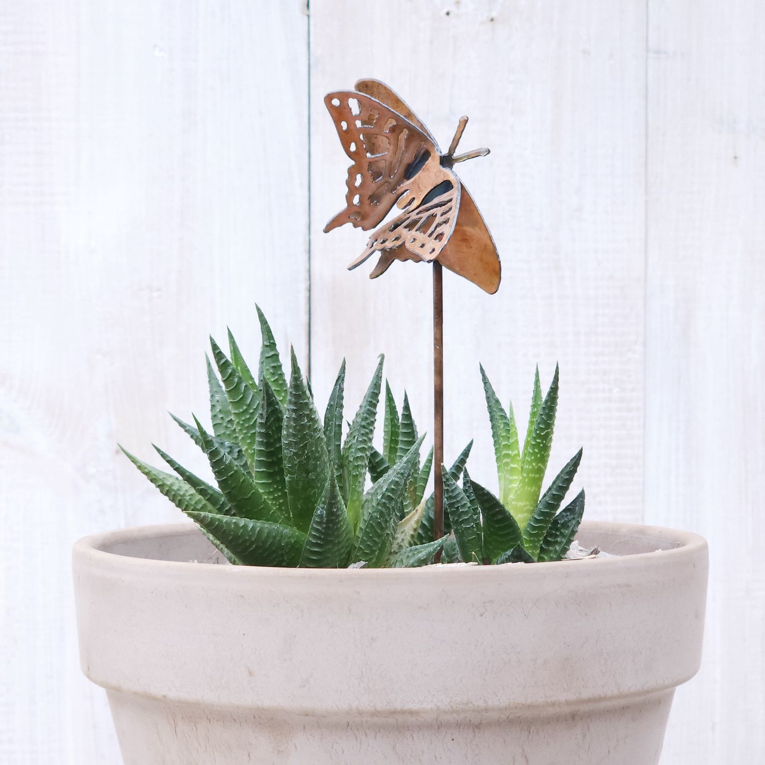 Small Swallowtail Butterfly Stake