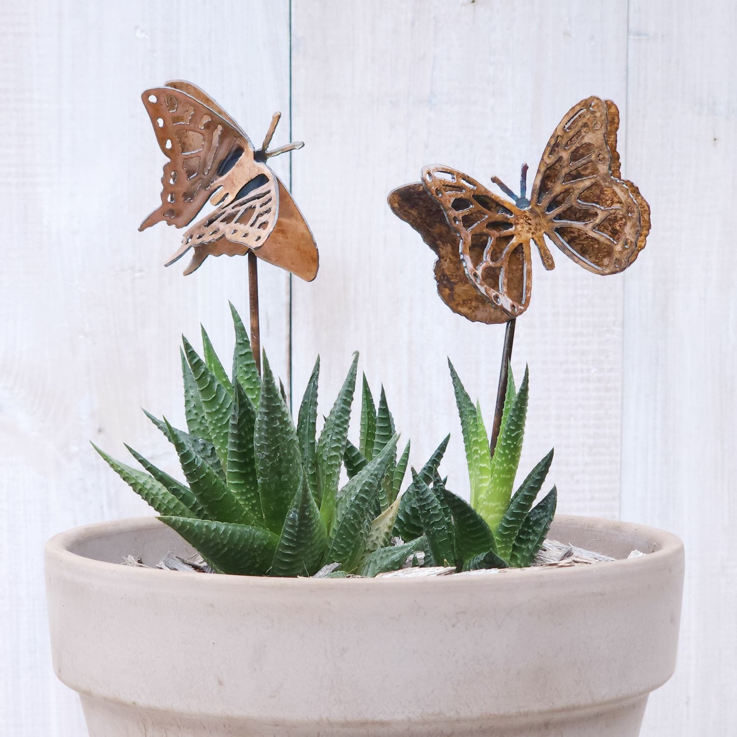Small Monarch &amp; Swallowtail Butterfly Stake Set