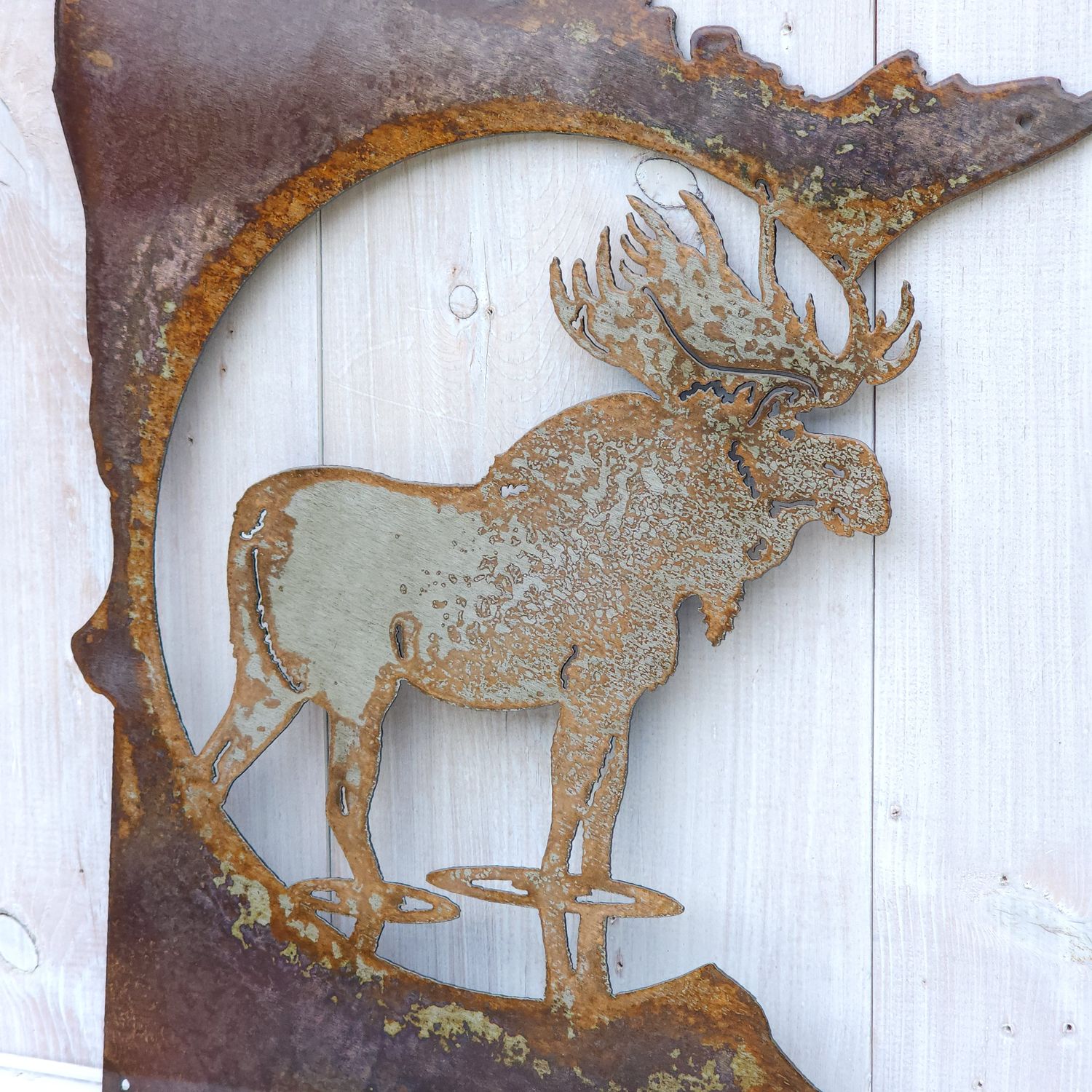 Moose MN
