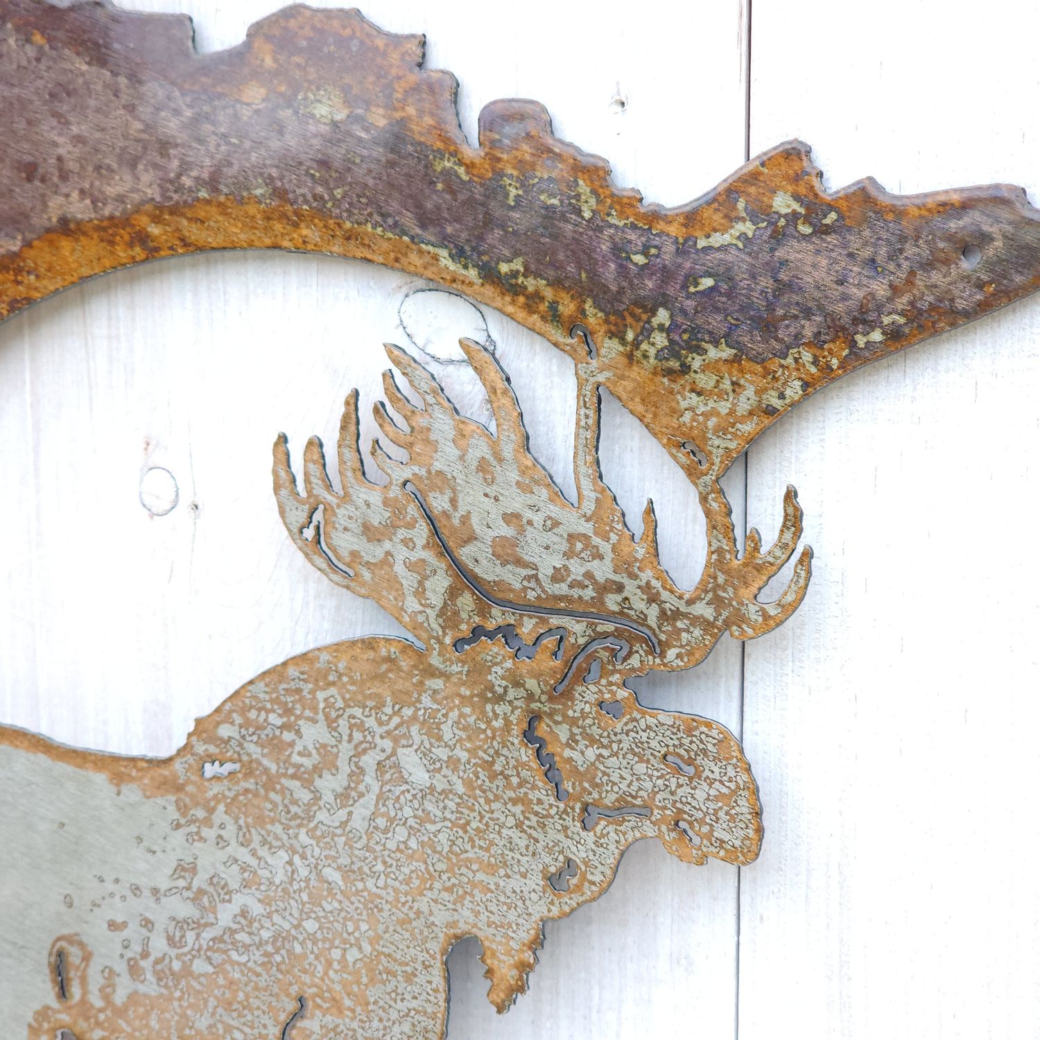 Moose MN