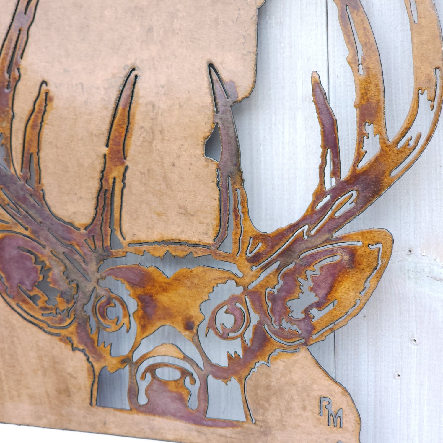 Buck Head MN
