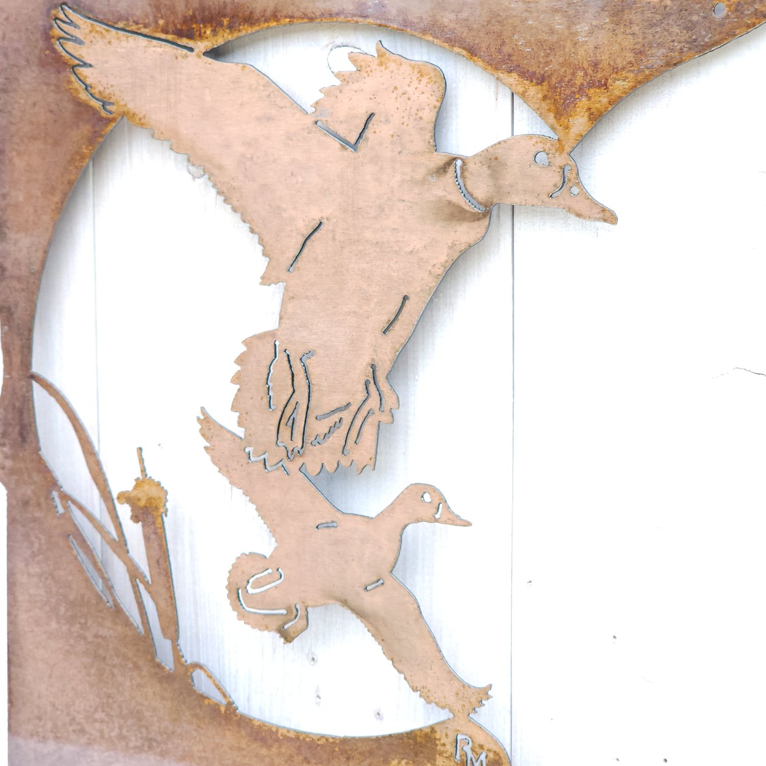 Duck MN