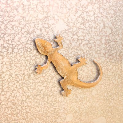 Lizard Magnet