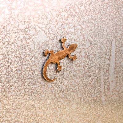 Tiny Lizard Magnet