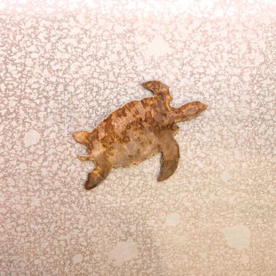 Sea Turtle Magnet