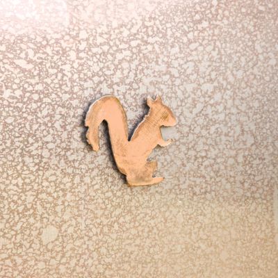 Squirrel Magnet