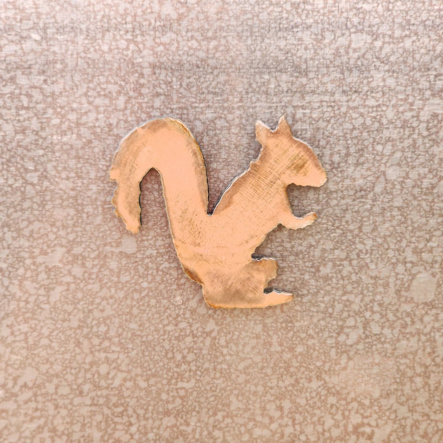Squirrel Magnet