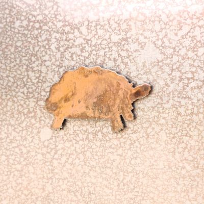 Sulcata Tortoise Magnet