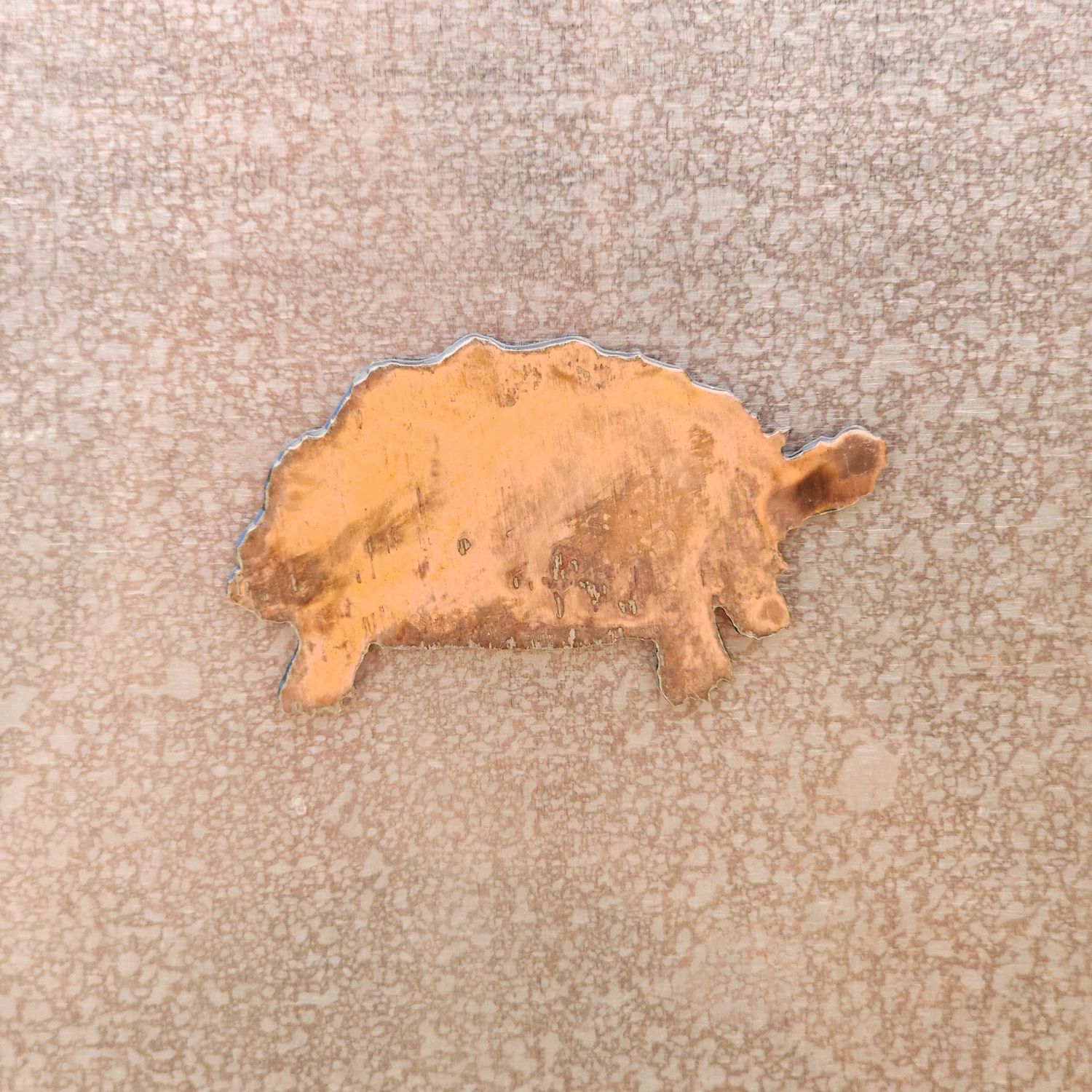 Sulcata Tortoise Magnet