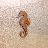 Seahorse Magnet