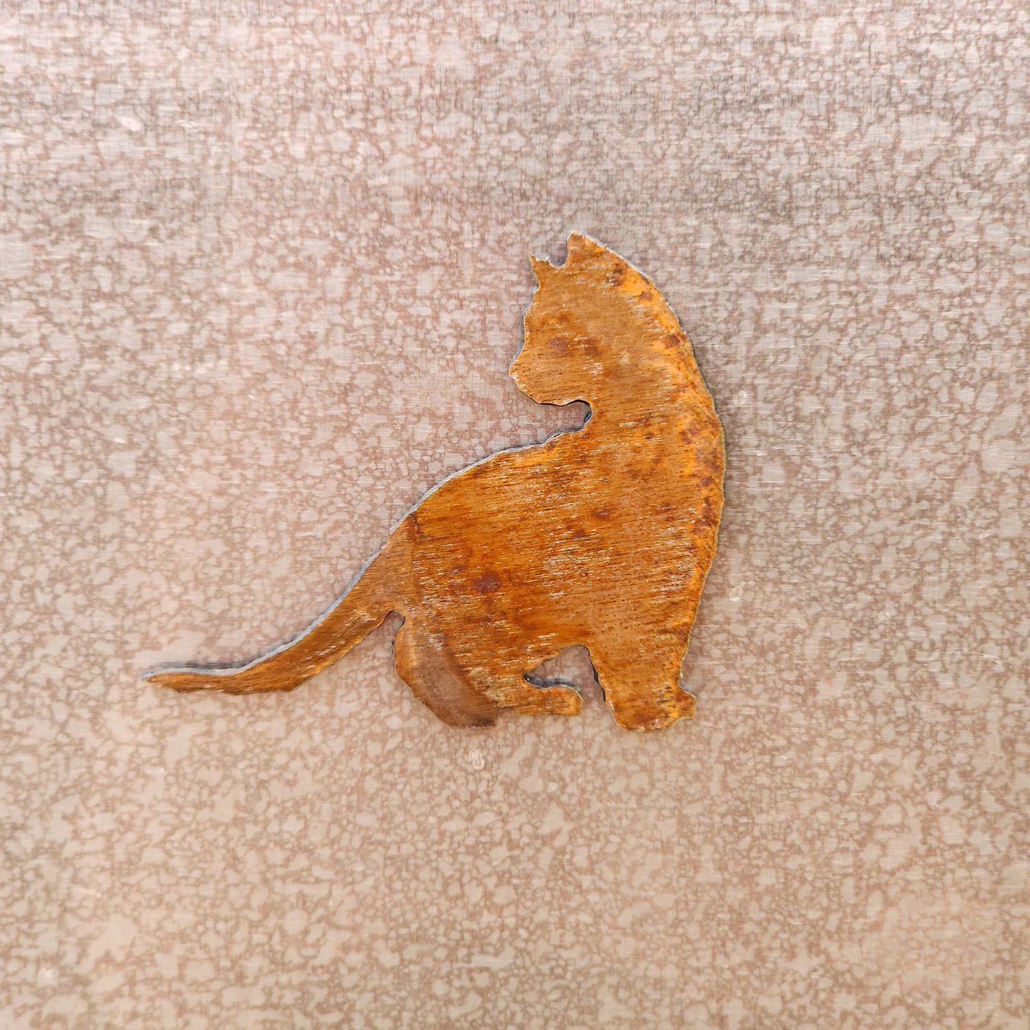 Cat Looking Behind Magnet