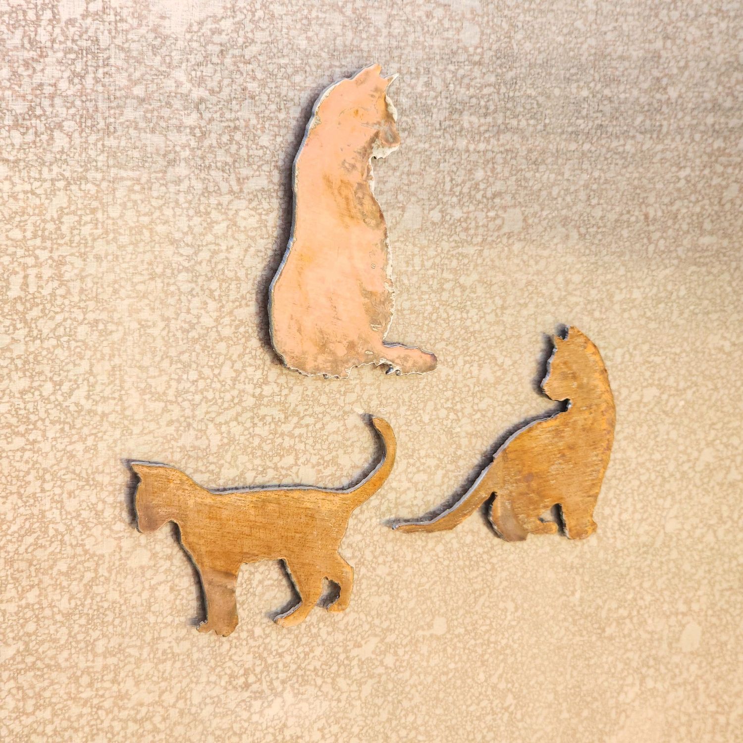 Cat Magnet Set